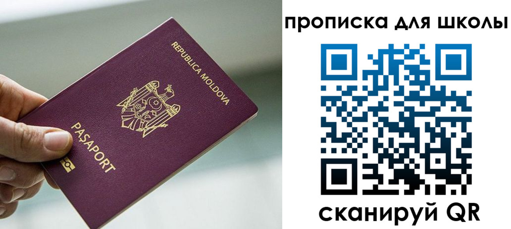 прописка в квартире в Балтийске